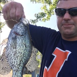 Meet your Posher, Douglas